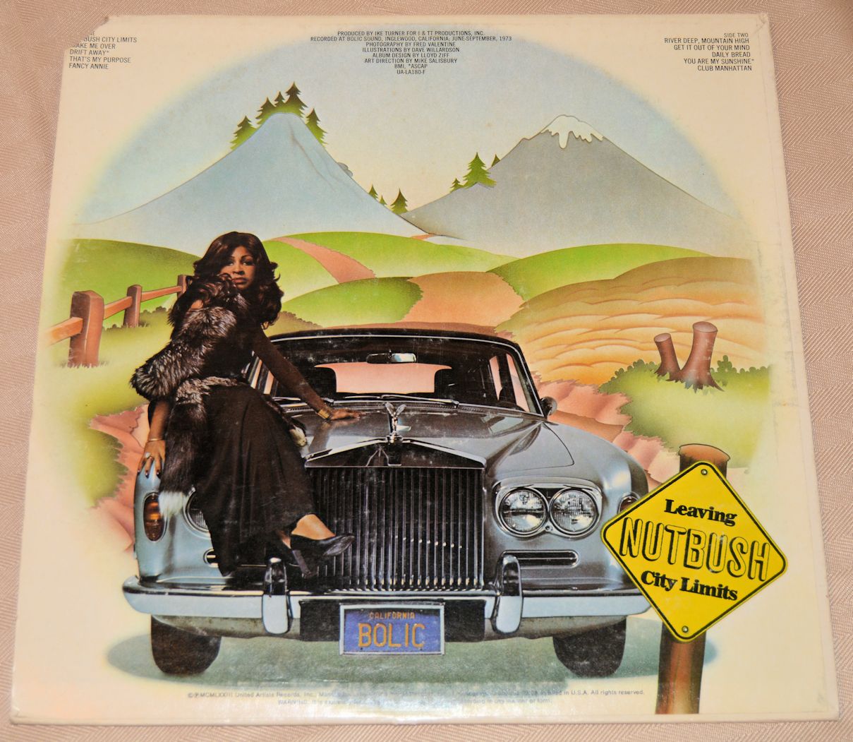 Turner, Ike & Tina - Nutbush City Limits