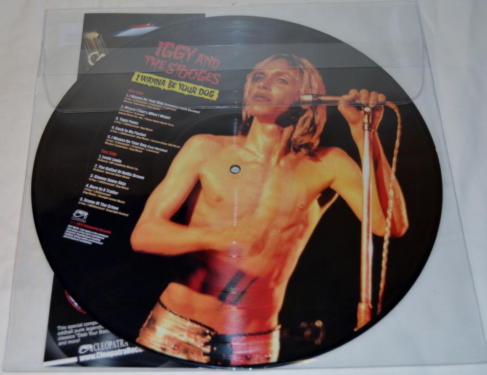 Iggy & The Stooges - I Wanna Be Your Dog