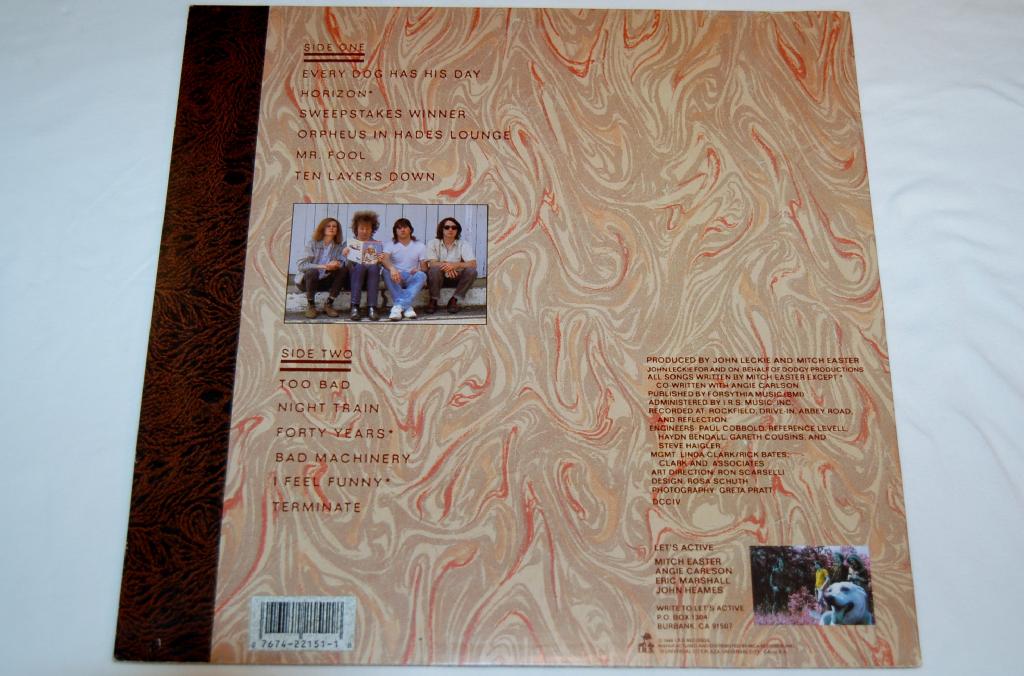 Let's Active - Every Dog Has His Day