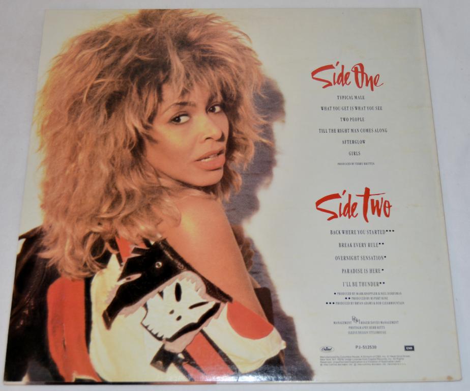 Turner, Tina - Break Every Rule