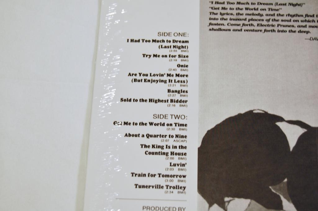 Electric Prunes - I Had Too Much To Dream Last Night