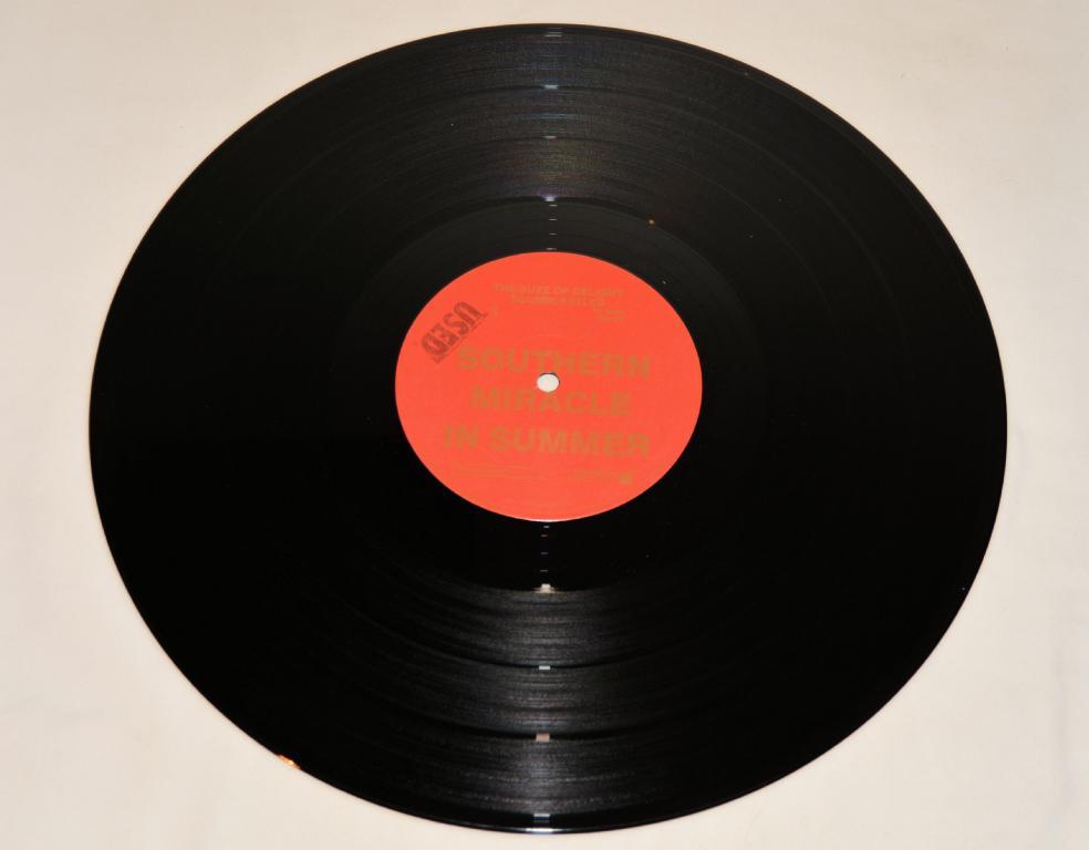 Buzz Of Delight, The - Sound Castles