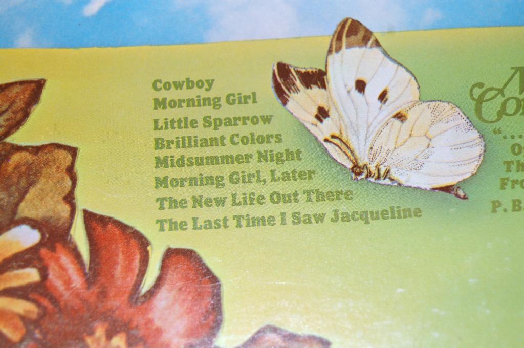 Neon Philharmonic, The - The Moth Confesses