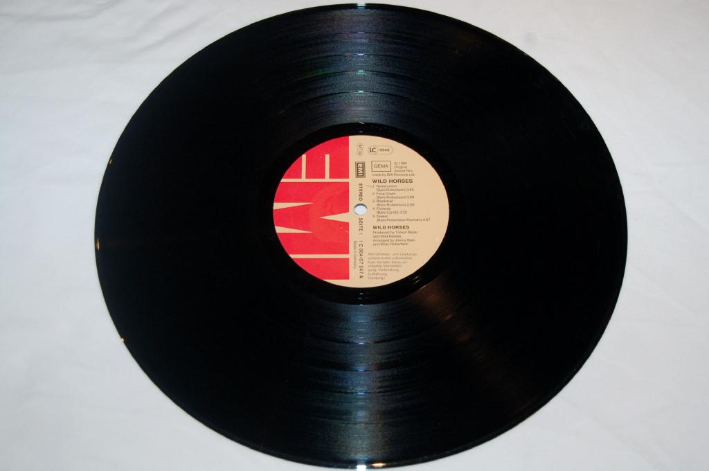 Wild Horses - Wild Horses