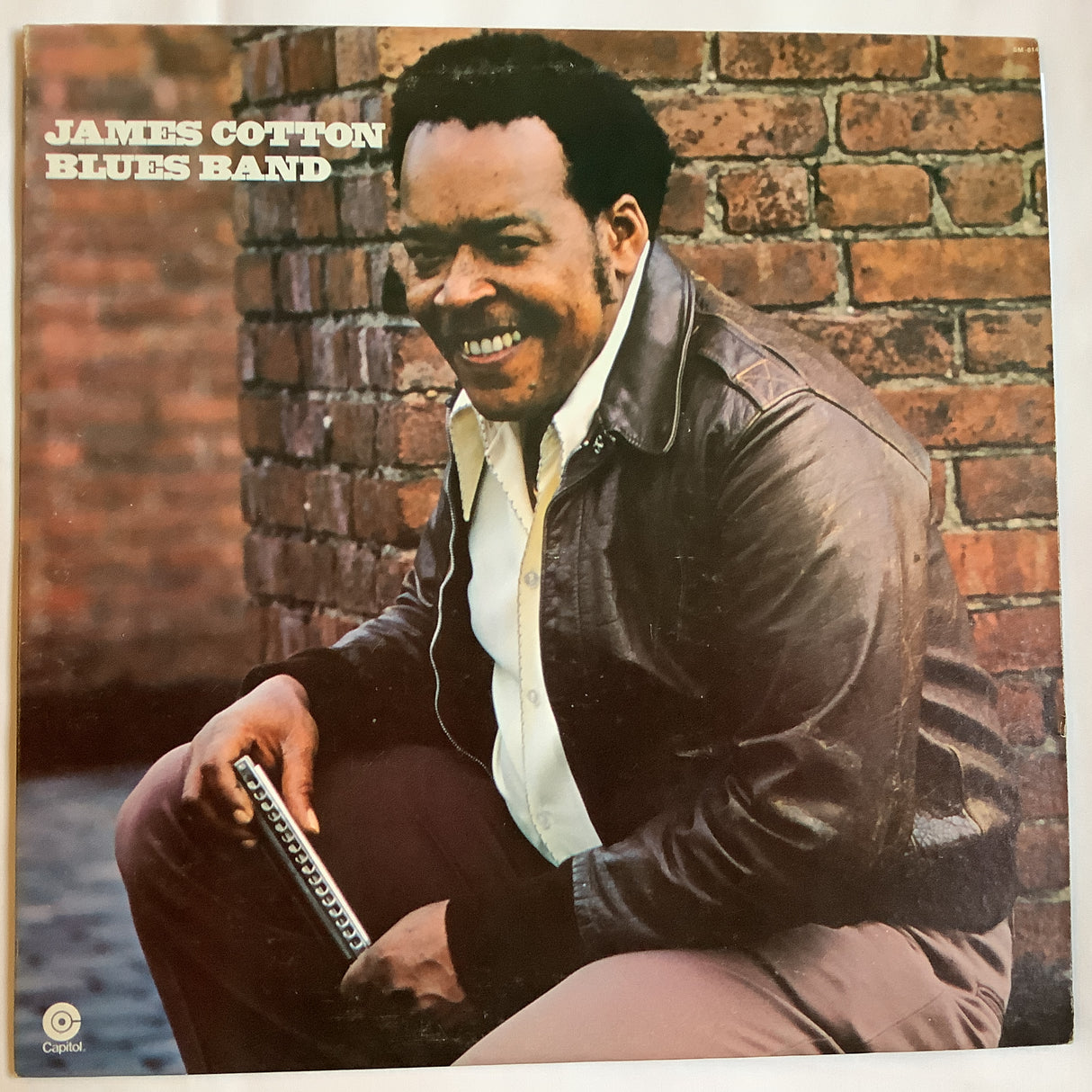 Cotton, James - Taking Care Of Business