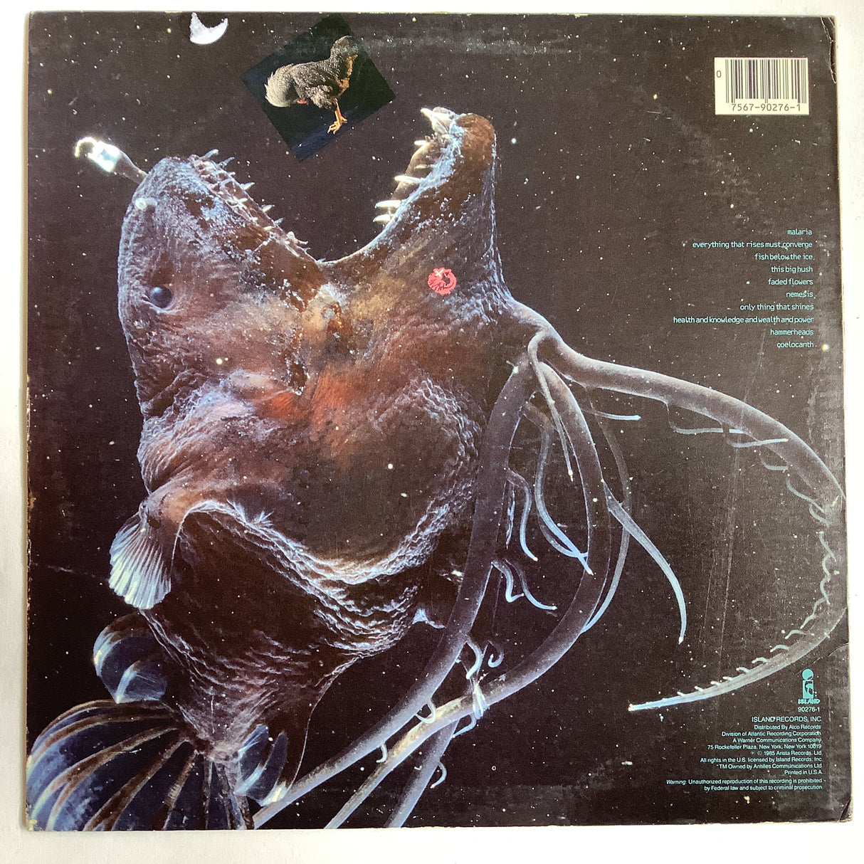 Shriekback - Oil And Gold