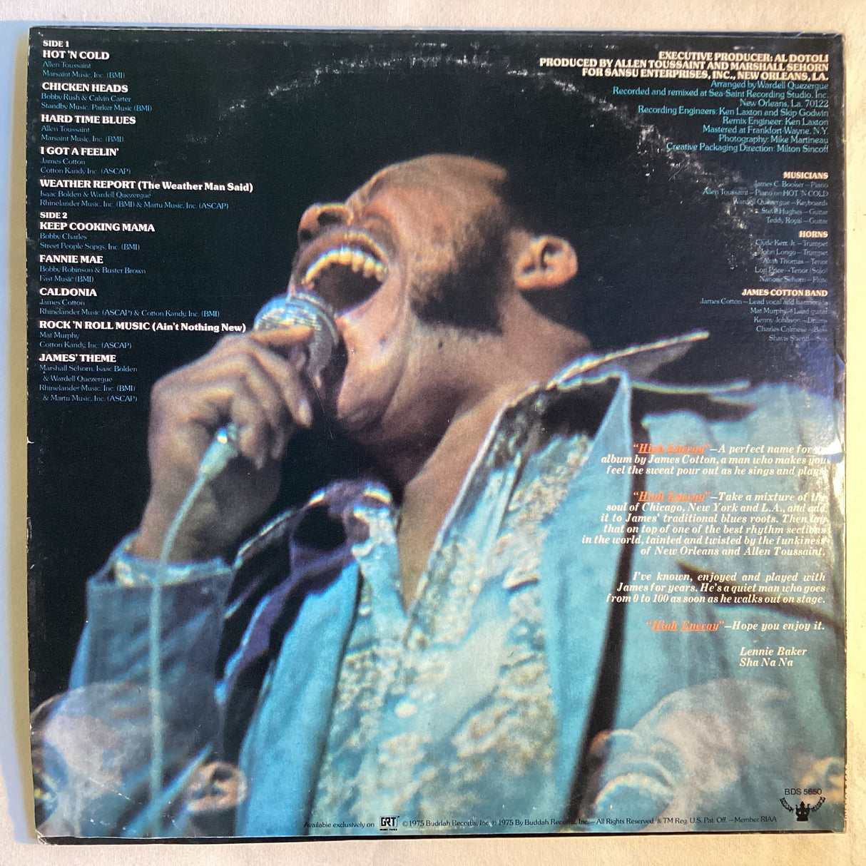 Cotton, James - High Energy