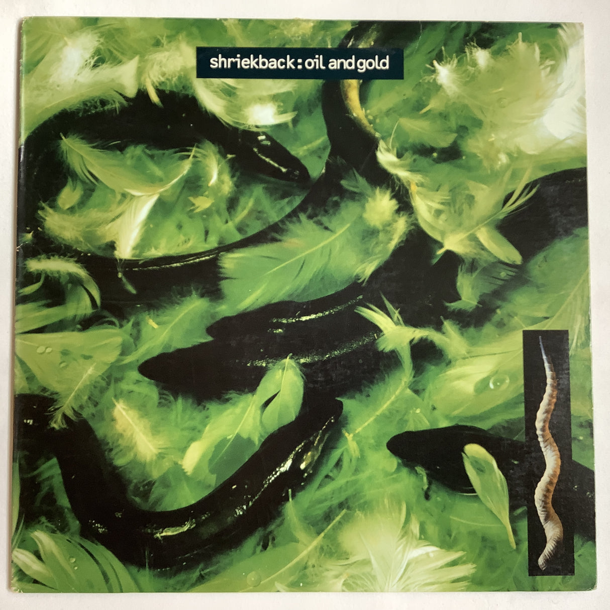 Shriekback - Oil And Gold