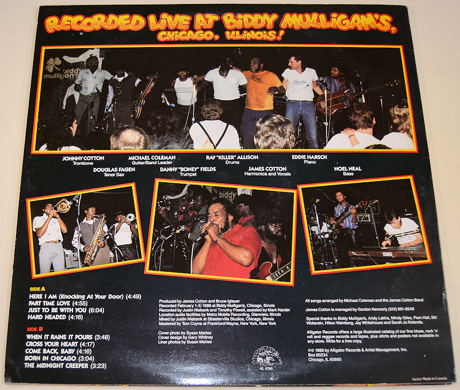 Cotton, James - Live From Chicago