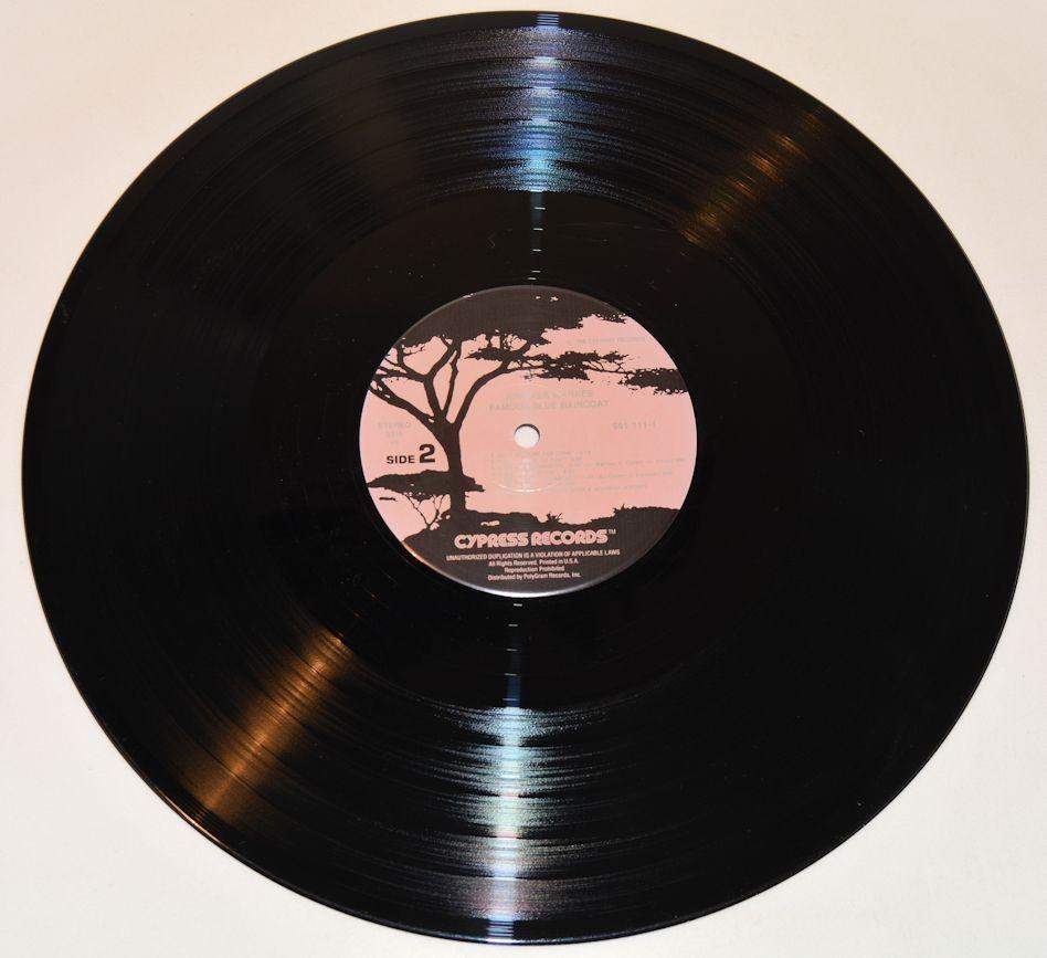 Warnes, Jennifer - Famous Blue Raincoat