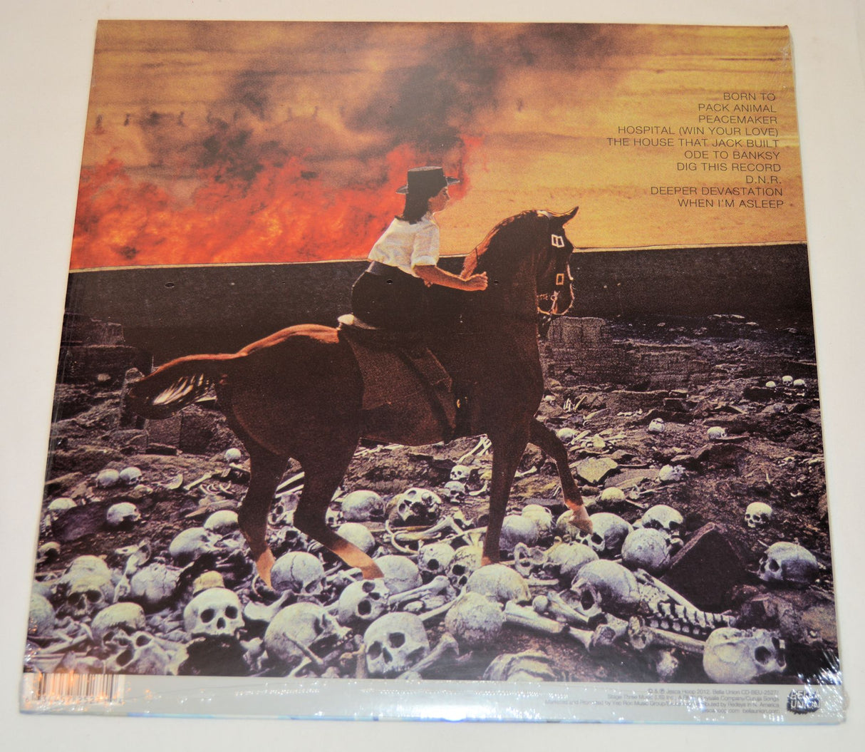 Hoop, Jesca - The House That Jack Built