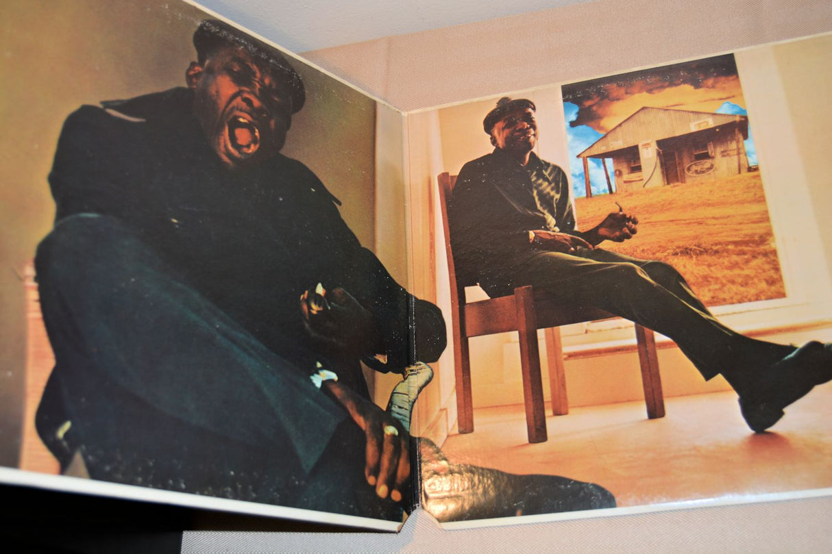 Hooker, John Lee - Any Where, Any Time, Any Place