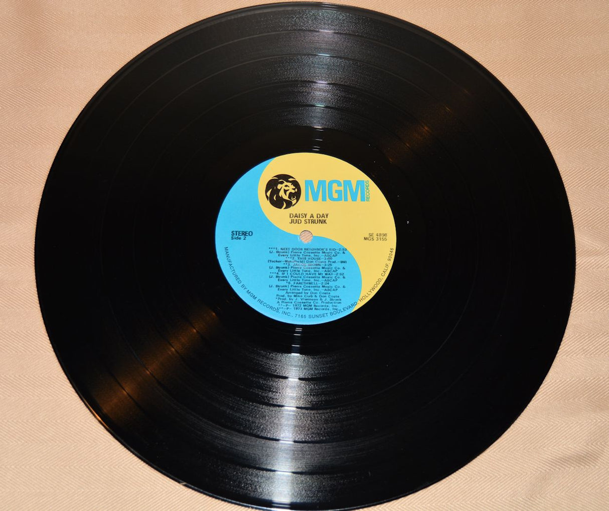 Strunk, Jud - Daisy A Day