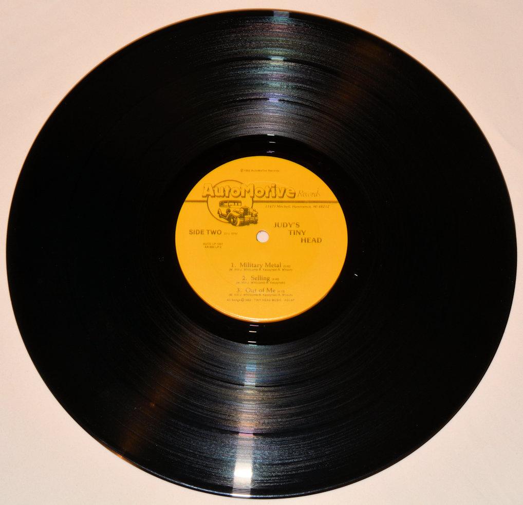 Judy's Tiny Head - A Cage Went In Search Of A Bird...