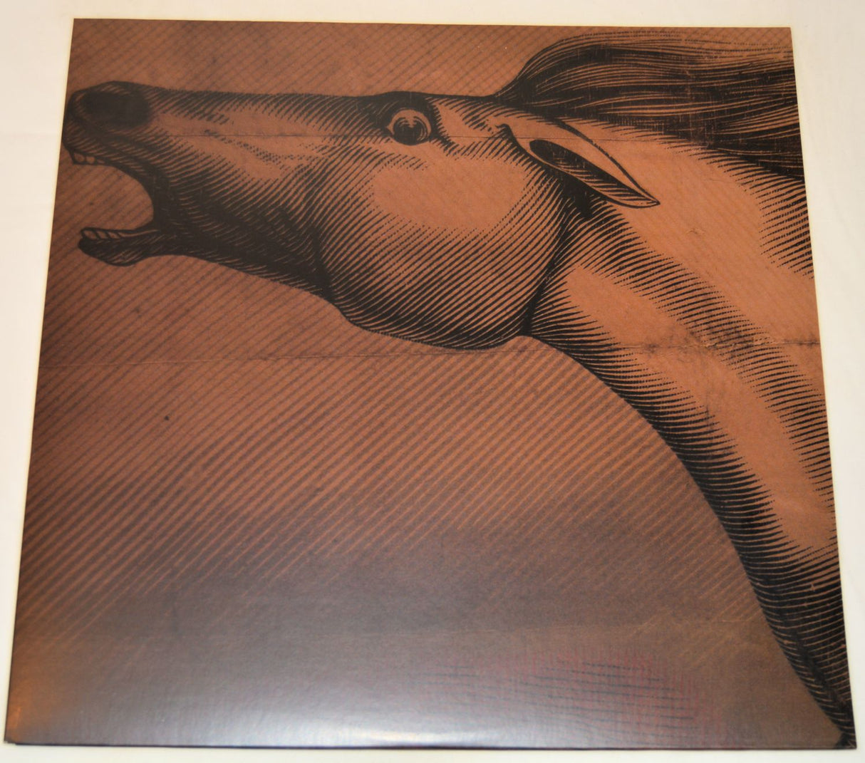 Lynch, Julian - Mare