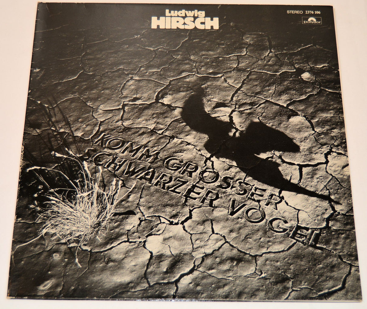 Hirsch, Ludwig - Komm Grosser Schwarzer Vogel