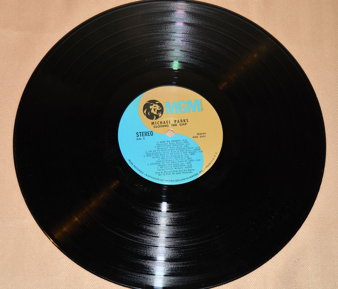 Parks, Michael - Closing The Gap