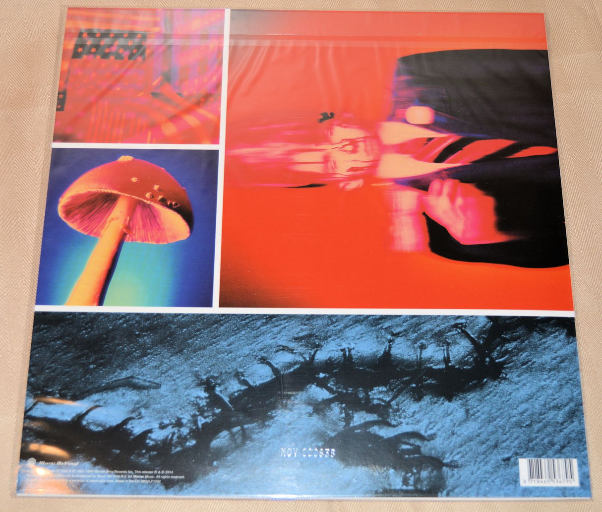 Ministry - Filth Pig