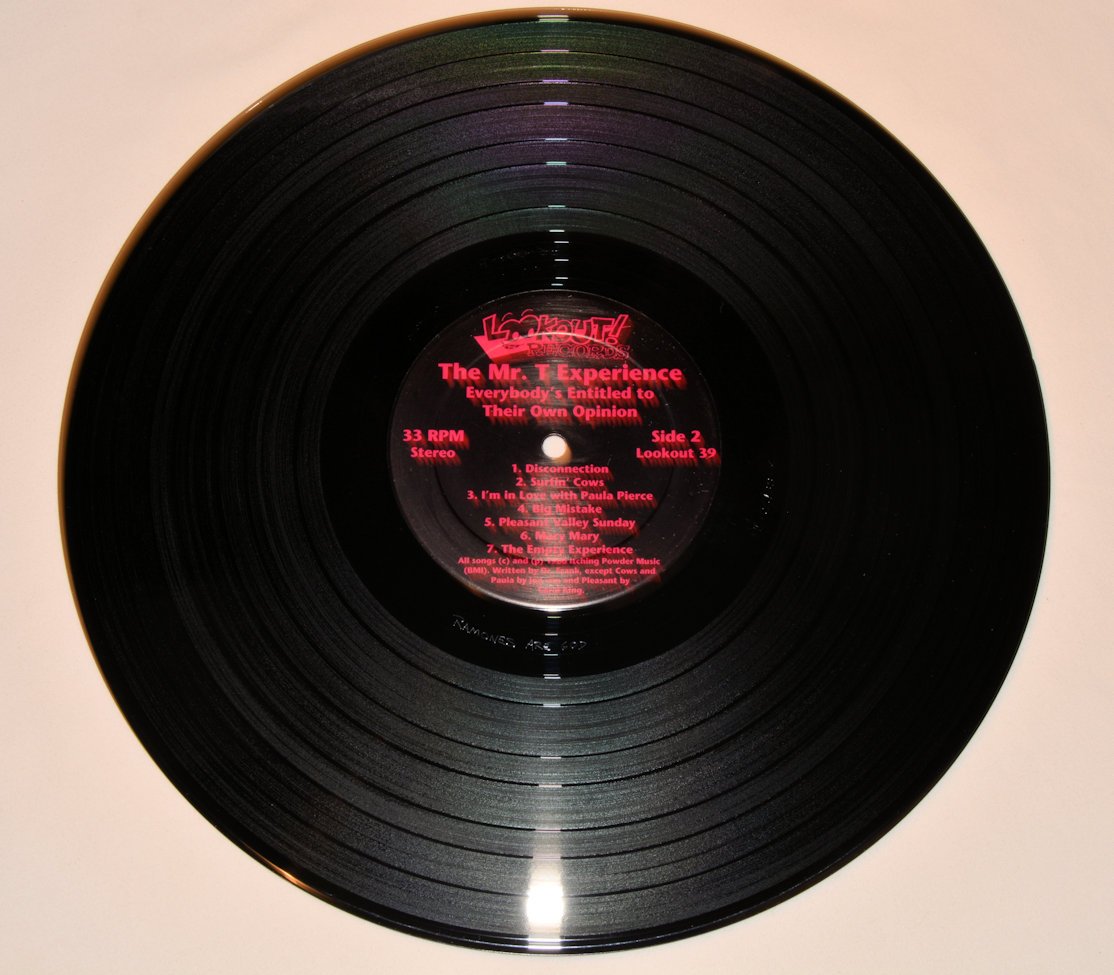 Mr. T Experience - Everybody's Entitled To Their Own Opinion