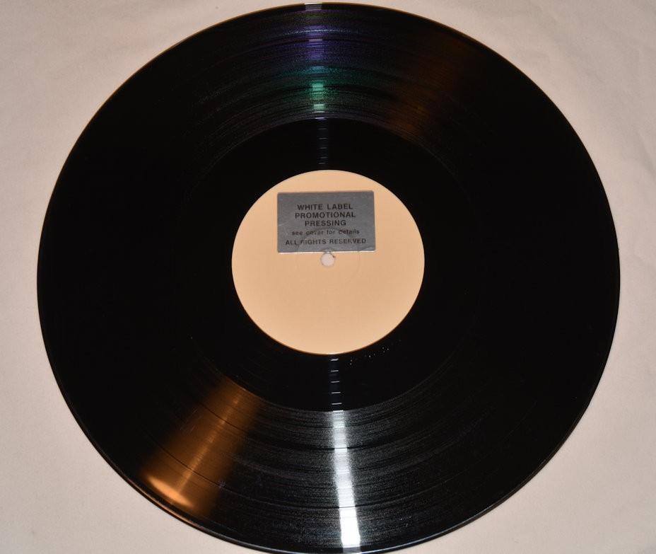 Waters, Muddy / Rolling Stones - Sweet Home Chicago