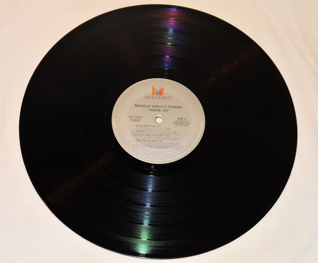 Muscle Shoals Horns - Shine On