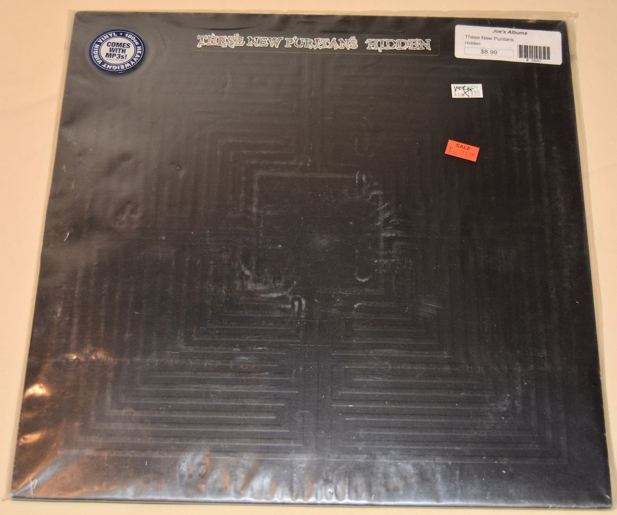 These New Puritans - Hidden