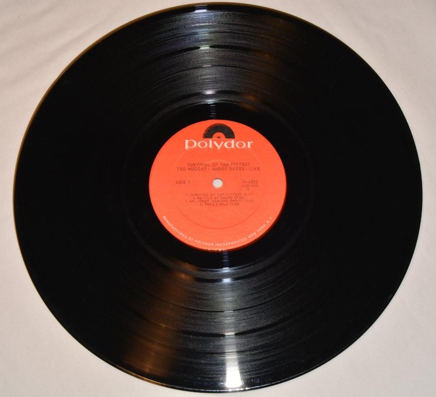 Nugent, Ted & Amboy Dukes - Survival Of The Fittest