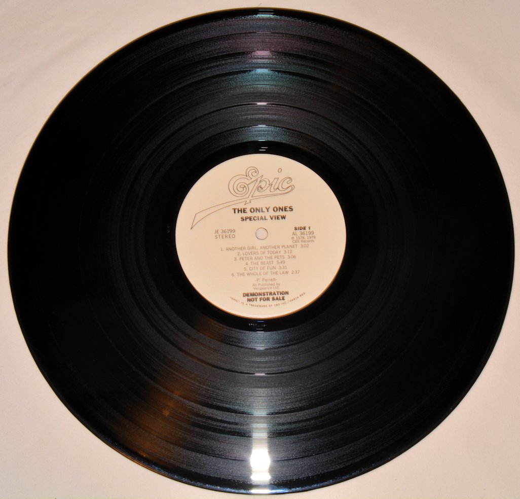 Only Ones, The - Special View