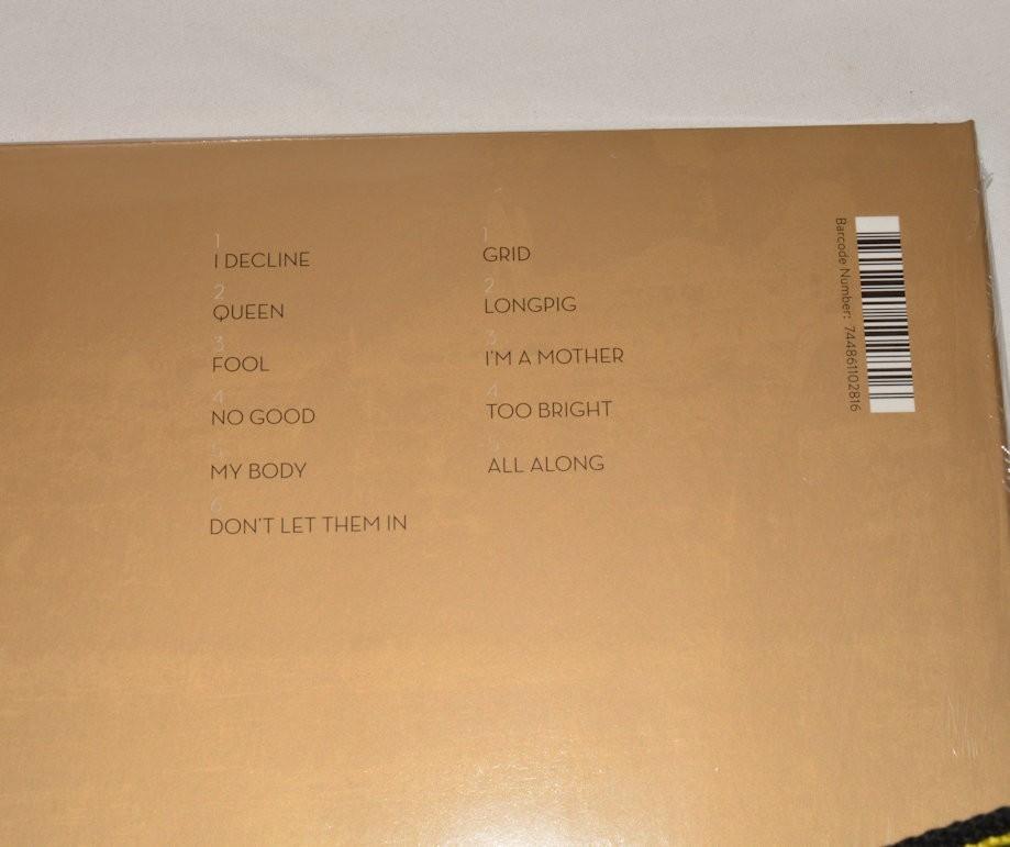 Perfume Genius - Too Bright