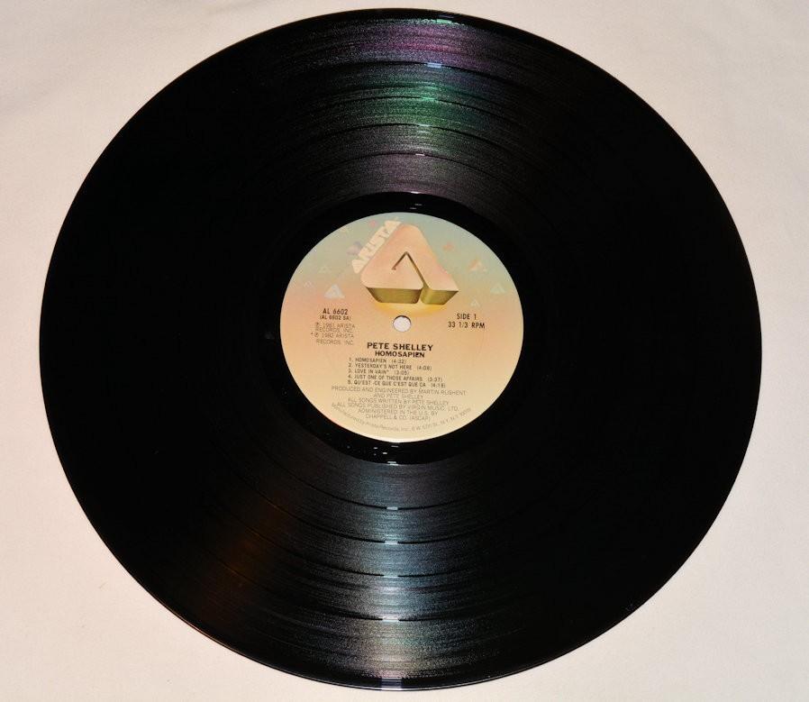 Shelley, Pete - Homosapien