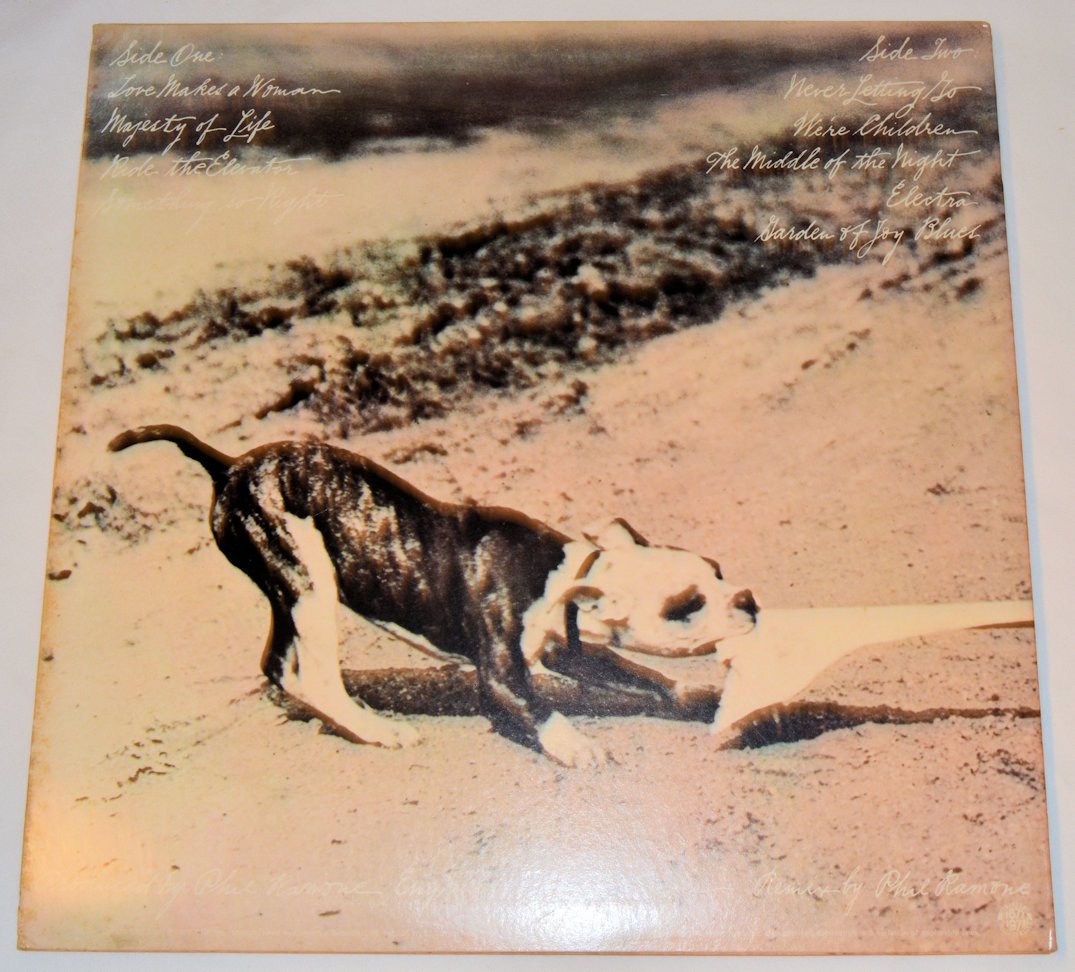 Snow, Phoebe - Never Letting Go