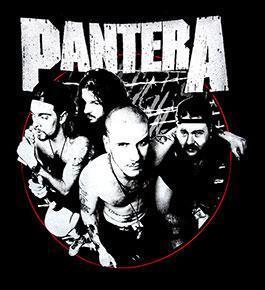 Pantera - Distressed Circle - Large