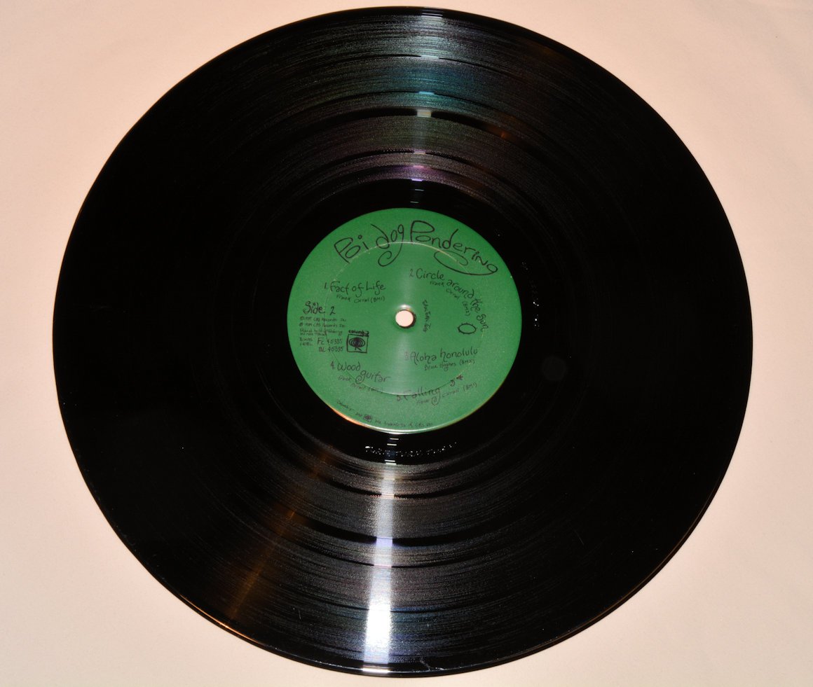 Poi Dog Pondering - Poi Dog Pondering