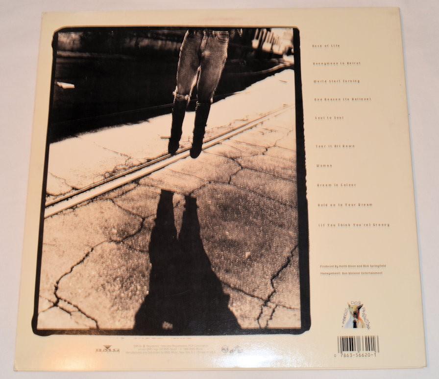 Springfield, Rick - Rock Of Life