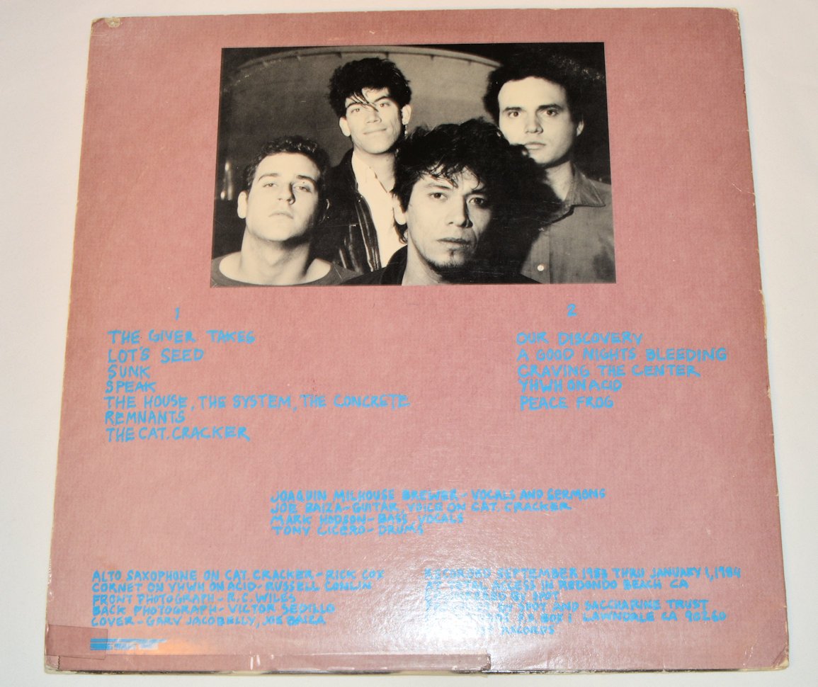 Saccharine Trust - Surviving You, Always