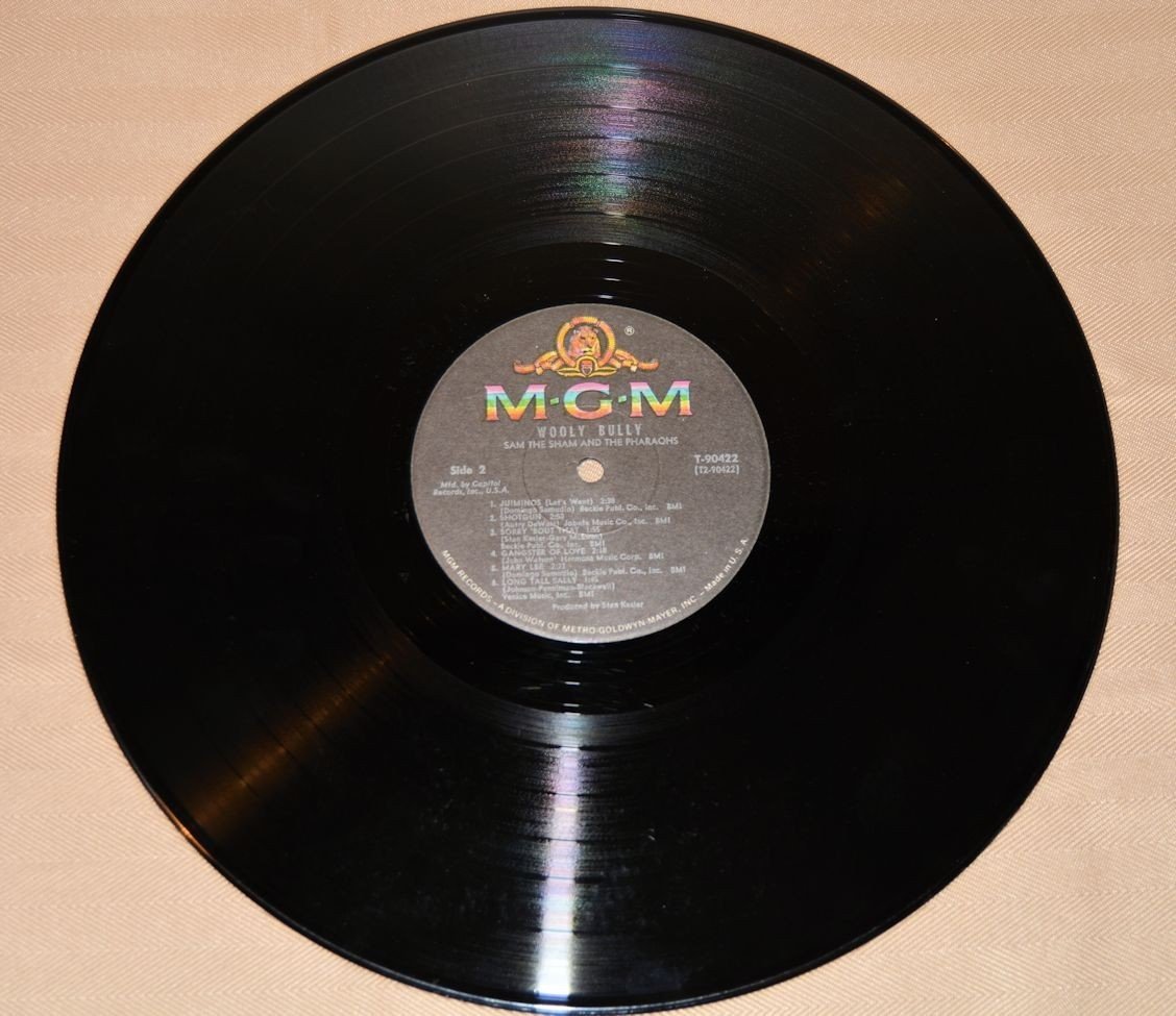 Sam The Sham & Pharaohs - Wooly Bully