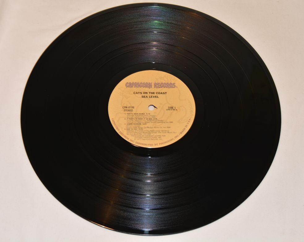 Seal Level - Cats On The Coast