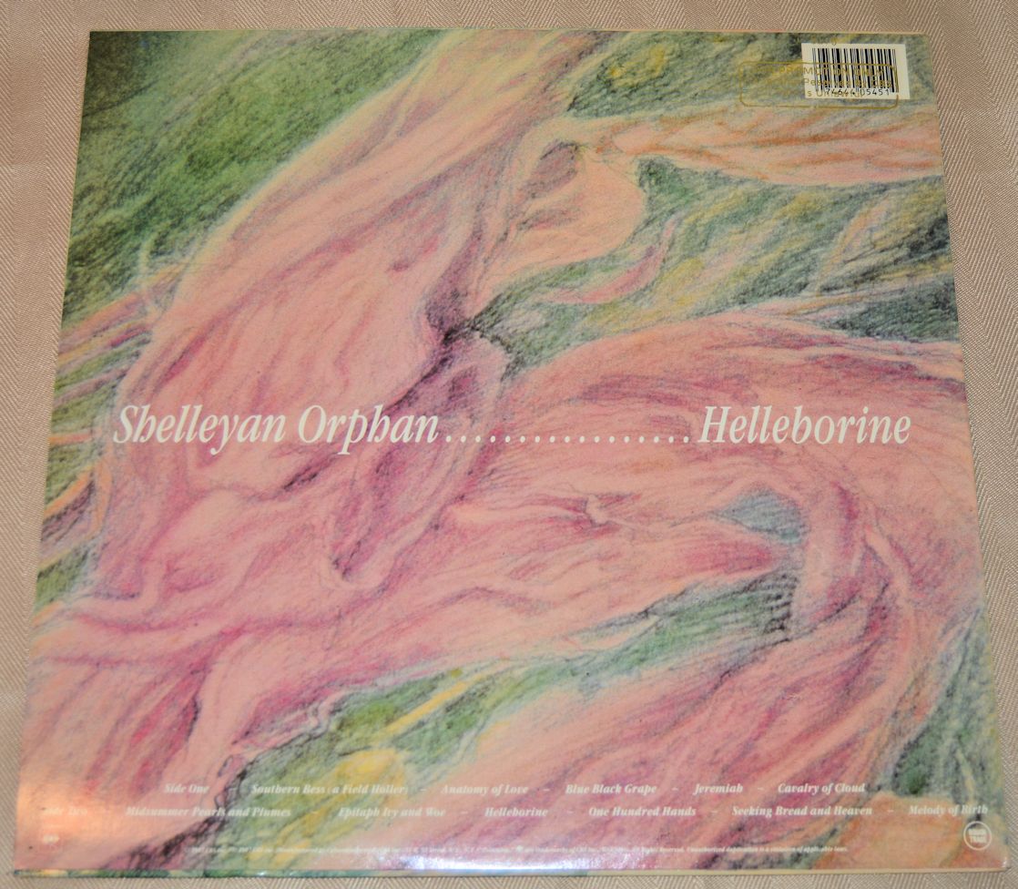 Orphan, Shelleyan - Helleborine