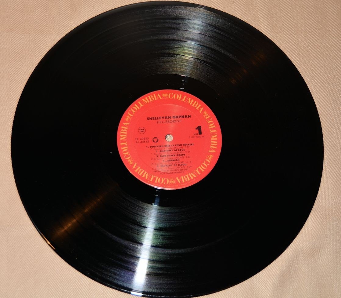 Orphan, Shelleyan - Helleborine