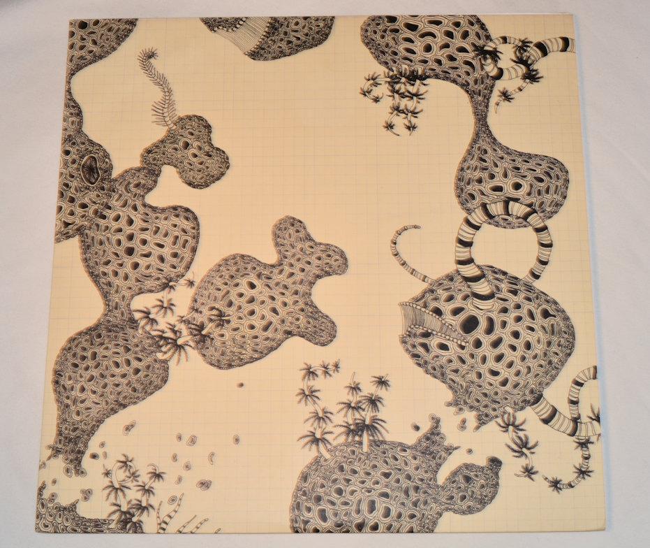 Shins - Wincing The Night Away