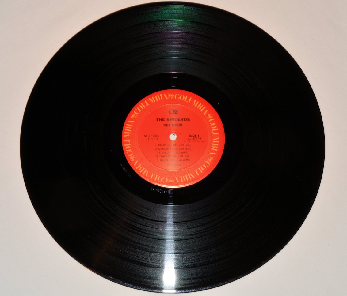 Sinceros, The - Pet Rock