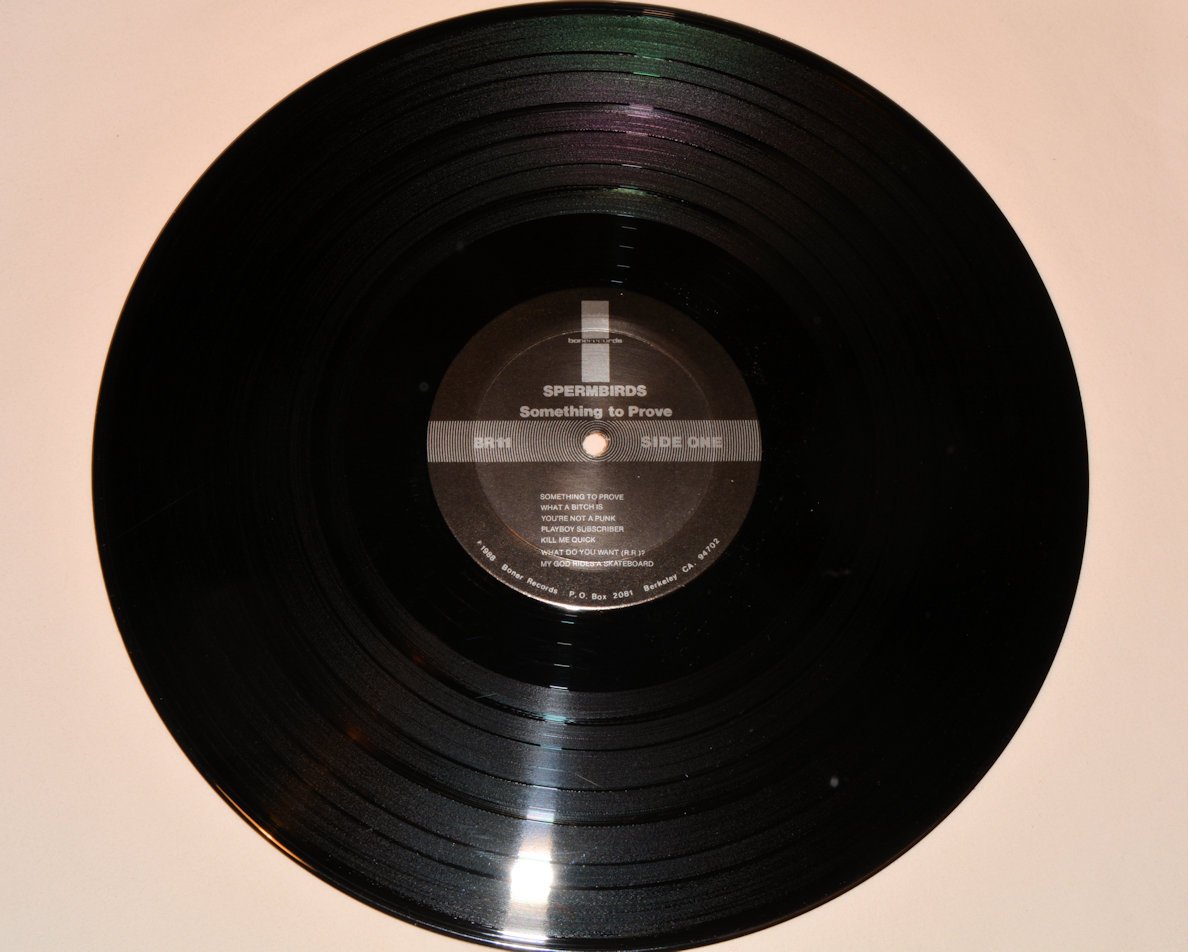 Spermbirds - Something To Prove