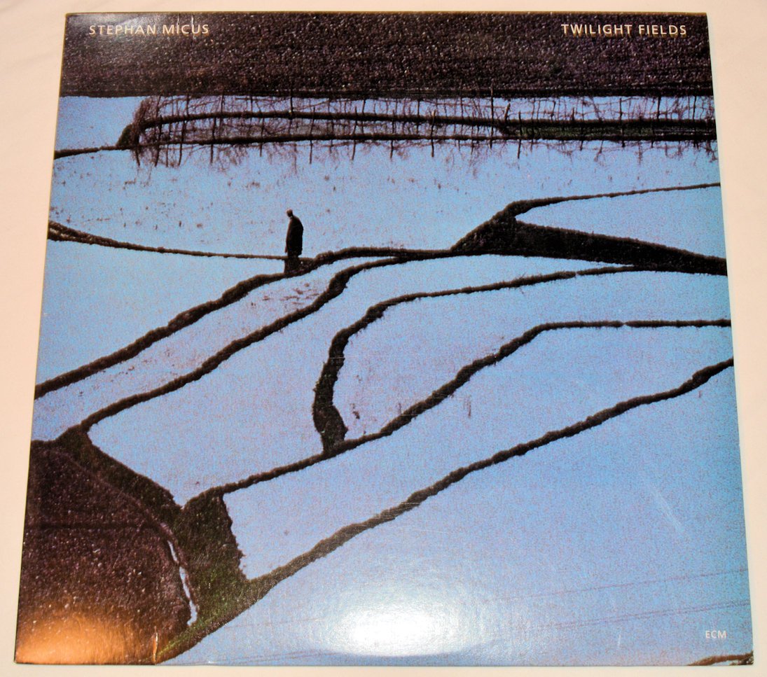 Micus, Stephan - Twilight Fields