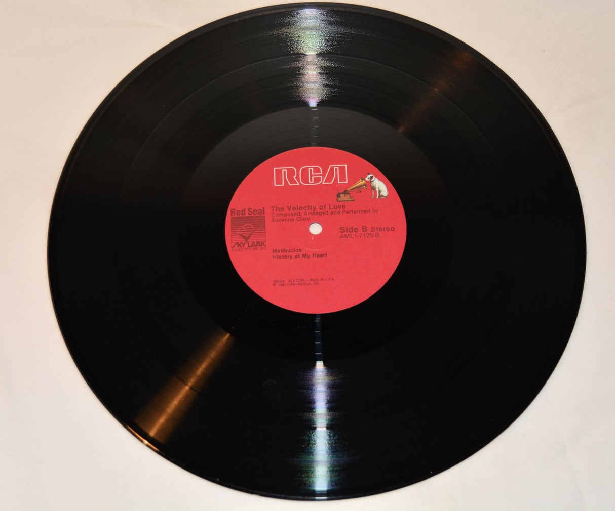 Ciani, Suzanne - The Velocity Of Love