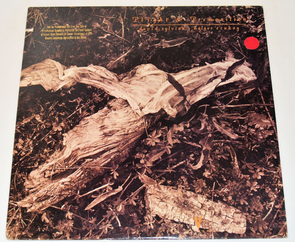 Sylvian, Ezukay - Plight & Premonition