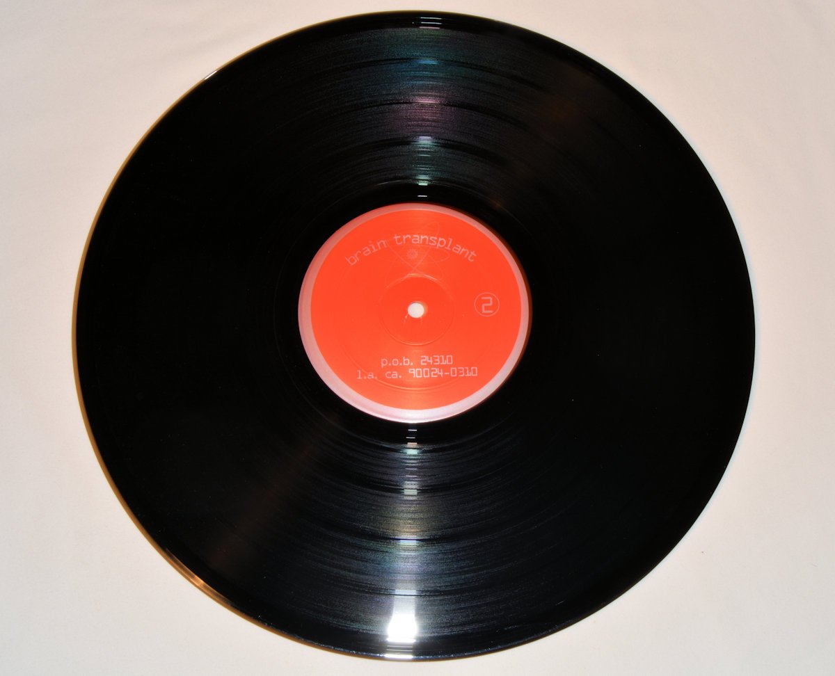 Teenage Queers - Live At Raul's 1980