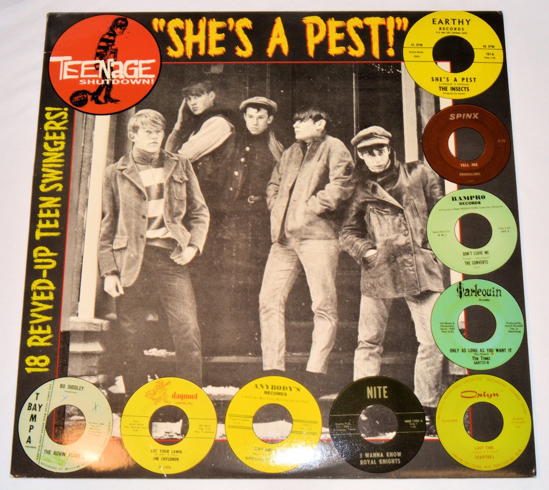 Various - She's A Pest!