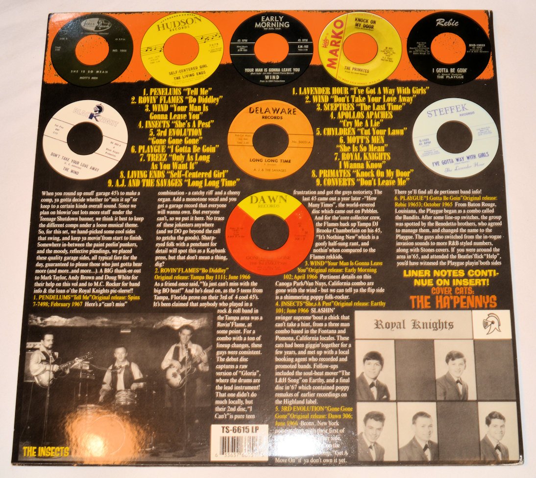 Various - She's A Pest!