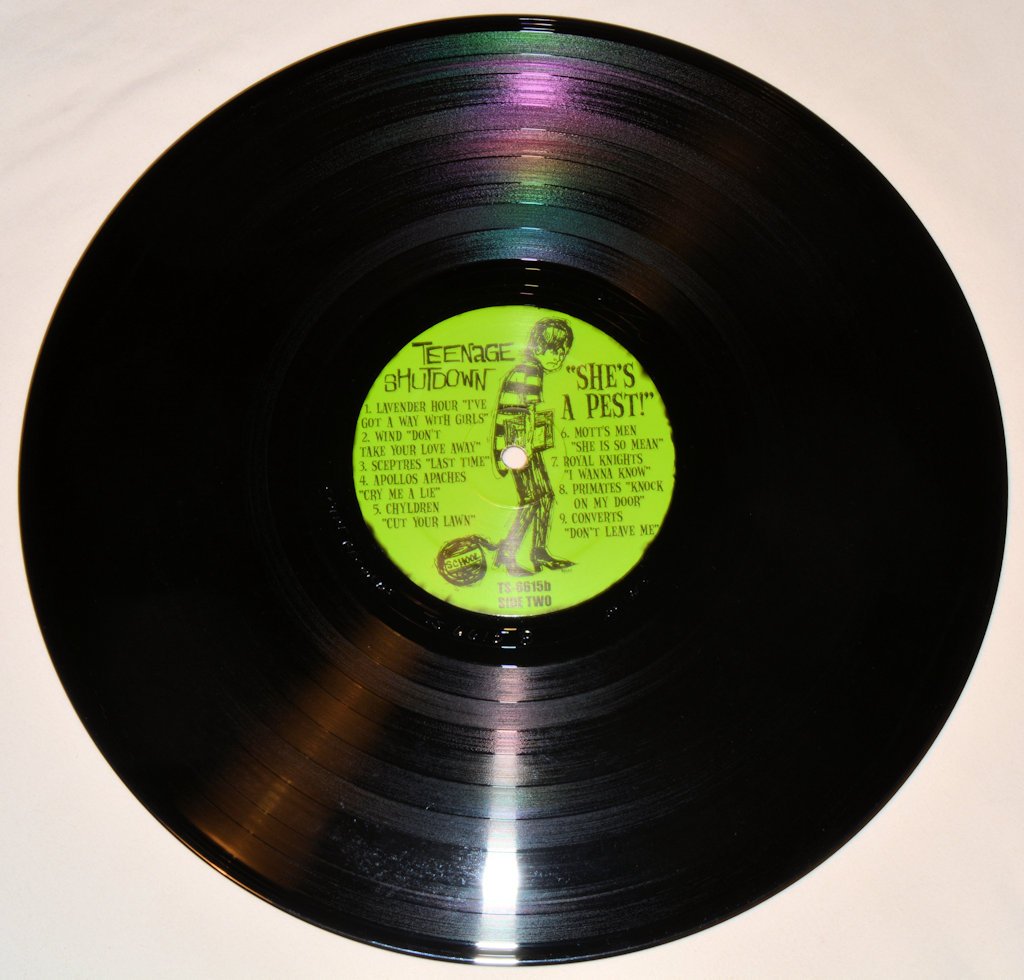 Various - She's A Pest!