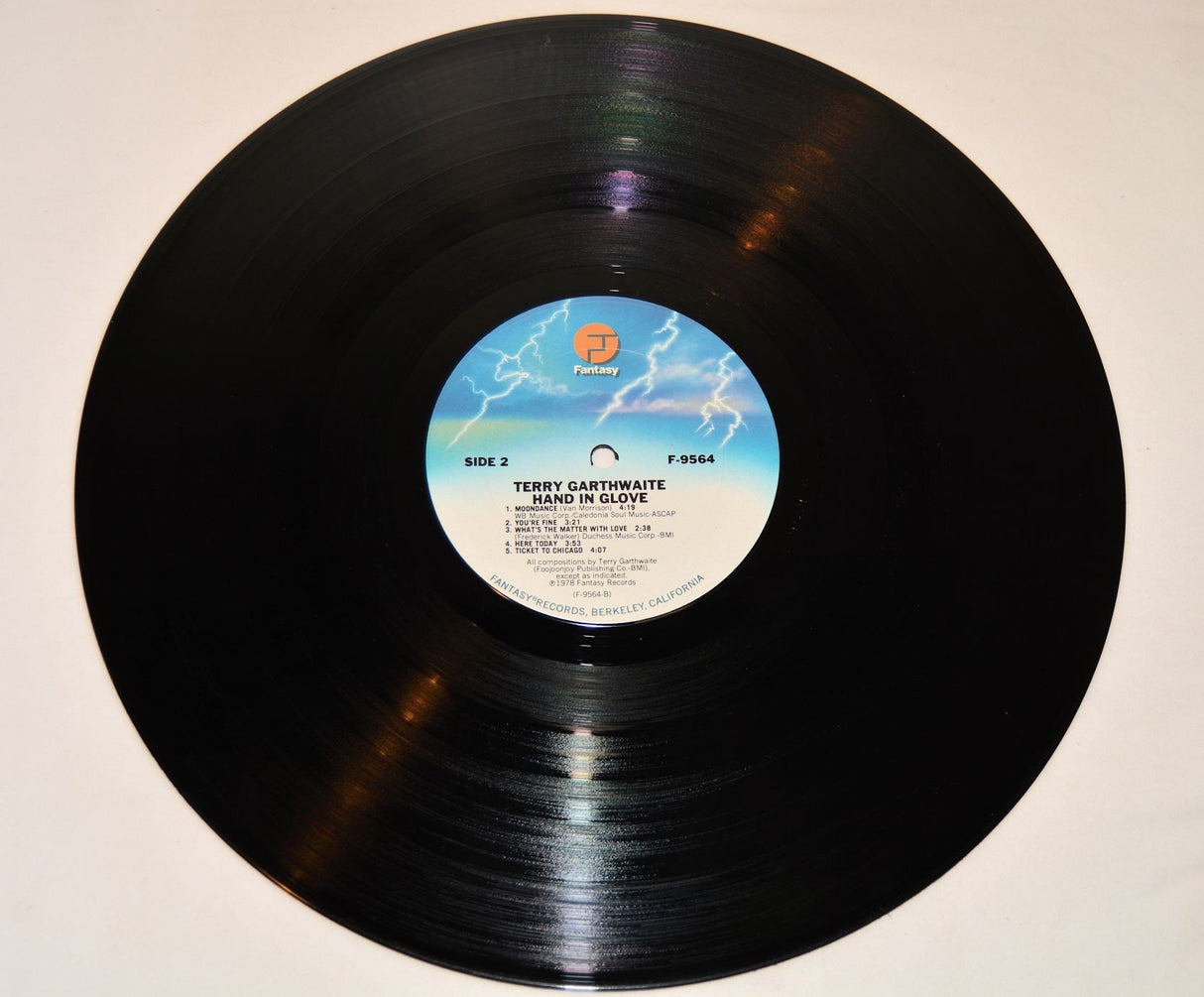 Garthwaite, Terry - Hand In Glove